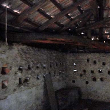 Anteprima immagine